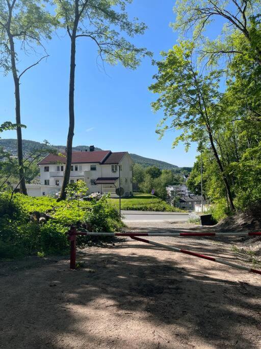 Apartament Fin Sentralt Hybel I Drammen Zewnętrze zdjęcie