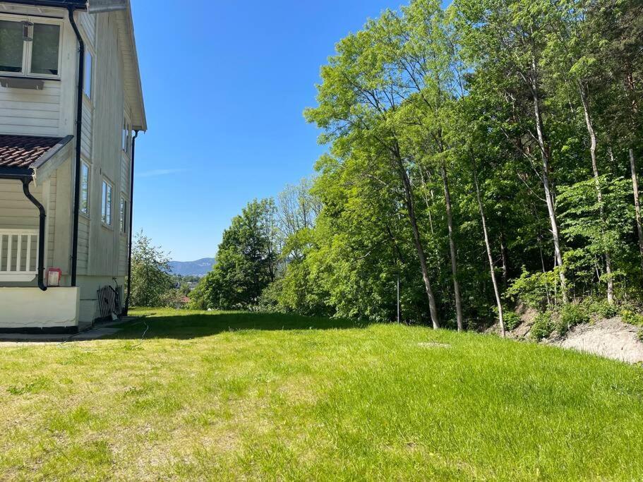 Apartament Fin Sentralt Hybel I Drammen Zewnętrze zdjęcie