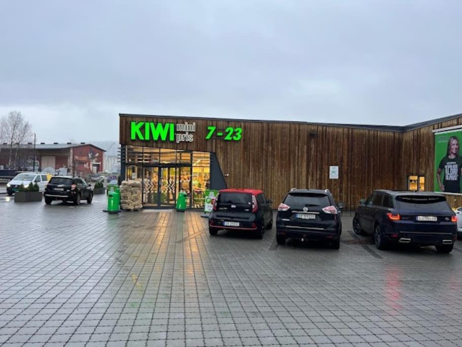 Apartament Fin Sentralt Hybel I Drammen Zewnętrze zdjęcie