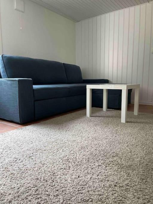 Apartament Fin Sentralt Hybel I Drammen Zewnętrze zdjęcie